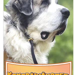 Jääkaappimagneetti - Tuisku