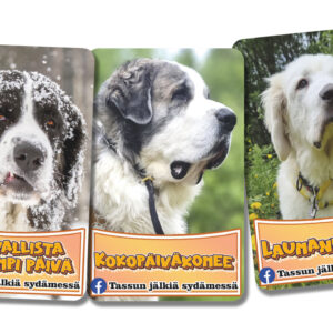 Jääkaappimagneettilajiltema