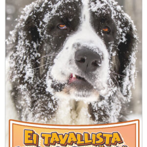 Jääkaappimagneetti - Elle