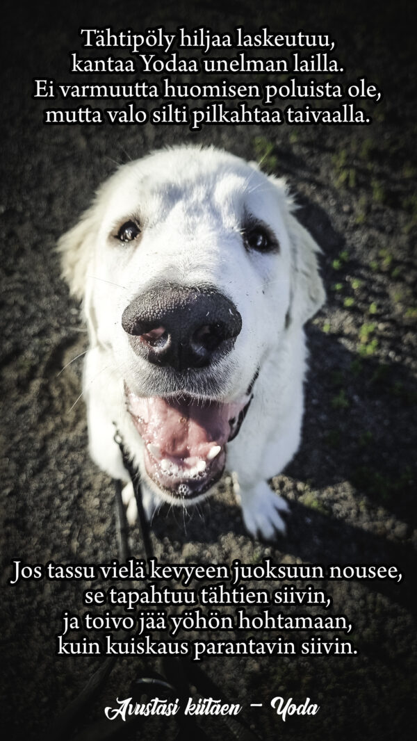 Tähtipölyä runo