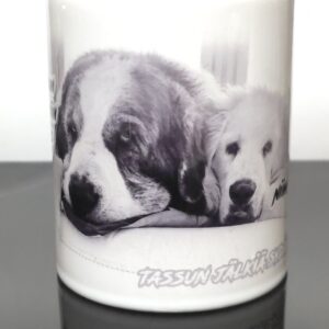 Tumppu & Yoda - ystävämuki