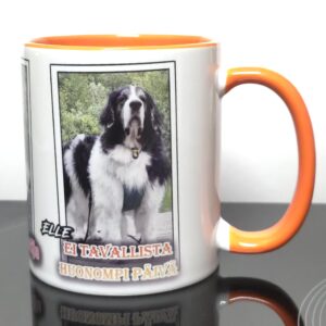 Jengimuki - Elle, Tumppu & Yoda