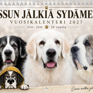 Seinäkalenteri 2027
